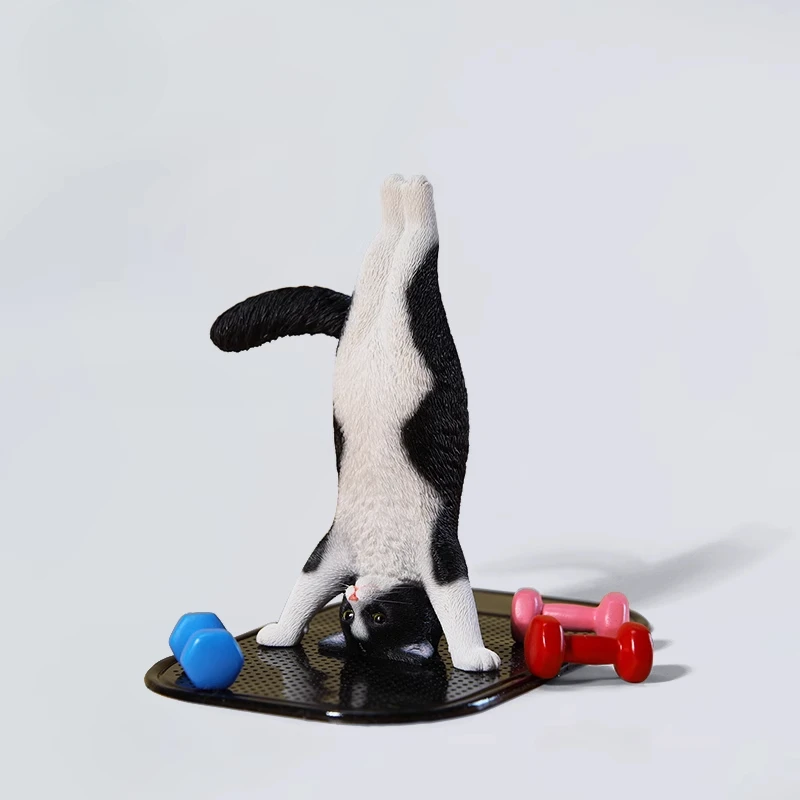 1/6 Yoga cat model simulation  - Yoga Fitness Model ulasan dan harga