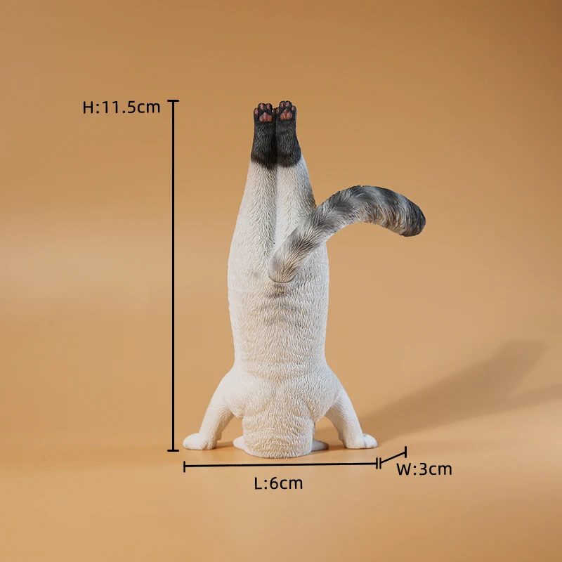 1/6 Yoga cat model simulation  - Yoga Fitness Model ulasan dan harga