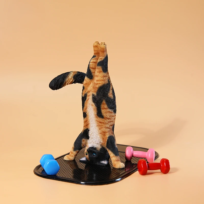 1/6 Yoga cat model simulation  - Yoga Fitness Model ulasan dan harga