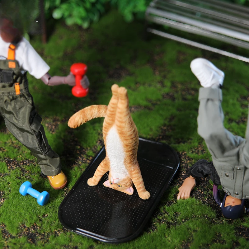 1/6 Yoga cat model simulation  - Yoga Fitness Model ulasan dan harga